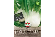 Knollenfenchel 'Fino' Inhalt reicht für ca. 150 Pflanzen