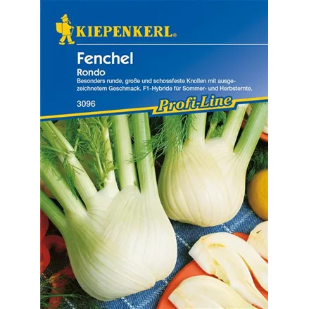 Knollenfenchel 'Rondo'