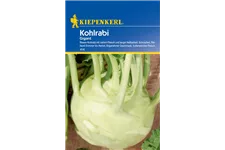 Kohlrabi 'Gigant' ca. 100 Pflanzen