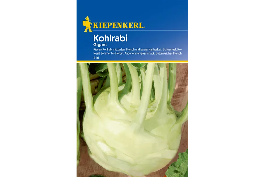 Kohlrabi 'Gigant' ca. 100 Pflanzen