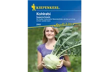 Kohlrabi 'Superschmelz' ca. 60 Pflanzen