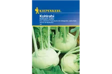 Kohlrabi 'Weißer Delikateß' ca. 100 Pflanzen