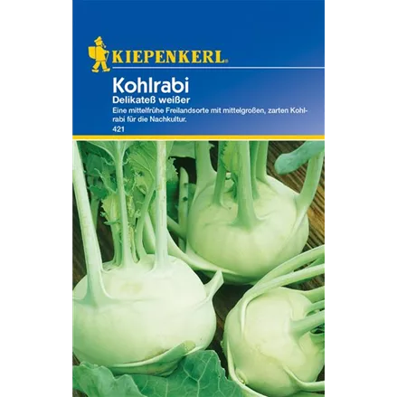 Kohlrabi 'Weißer Delikateß'