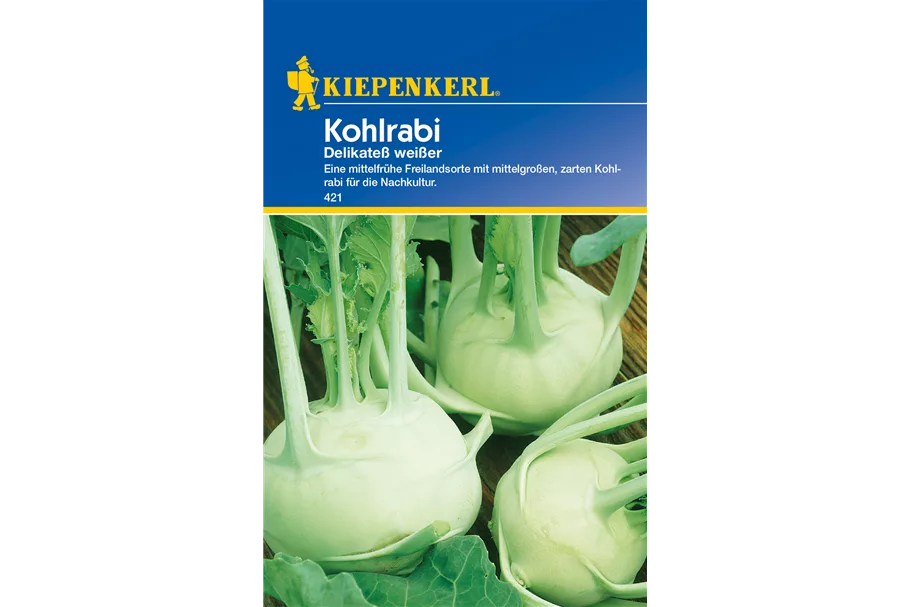 Kohlrabi 'Weißer Delikateß' ca. 100 Pflanzen