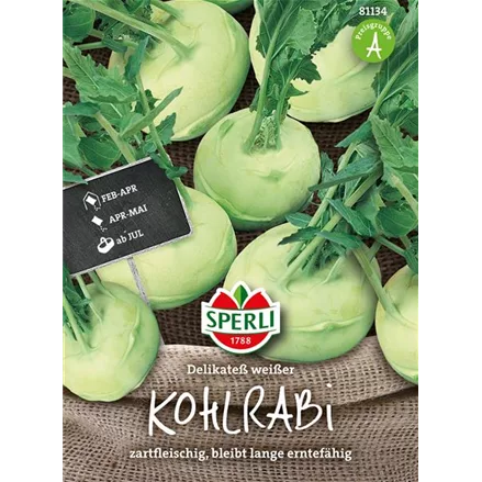 Kohlrabi 'Weißer Delikateß'