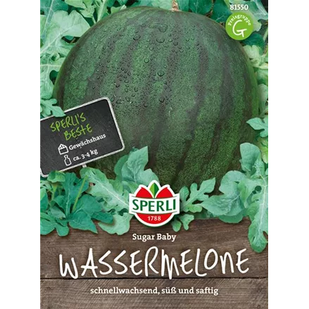 Kompakte Wassermelone 'Sugar Baby'