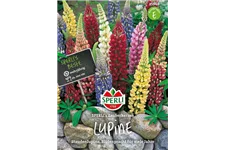 Garten-Lupine 'Zauberkerze' Inhalt reicht für ca. 25 Pflanzen