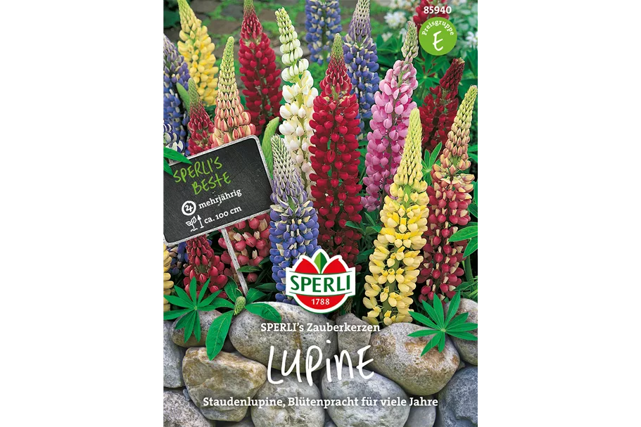 Garten-Lupine 'Zauberkerze' Inhalt reicht für ca. 25 Pflanzen