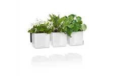 LECHUZA Green Wall Home Kit Glossy weiß highgloss