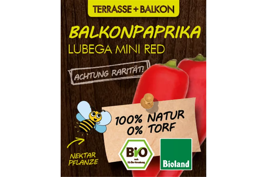 Bio Balkonpaprika rot 12 cm Topf