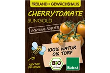 Bio Cherrytomate 'Sungold' 12 cm Topf