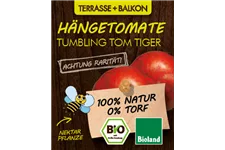 Bio Hängetomate Tumbling Tom Tiger 12 cm Topf