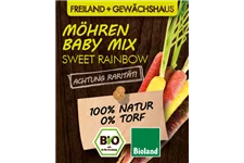 Bio Möhren Baby-Mix 'Sweet Rainbow' 12 cm Topf