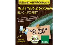 Bio Zucchini 'Black Forest' 12 cm Topf