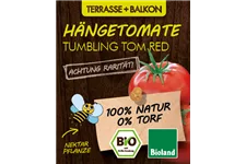 Bio Hängetomate 'Tumbling Tom Red' 12 cm Topf