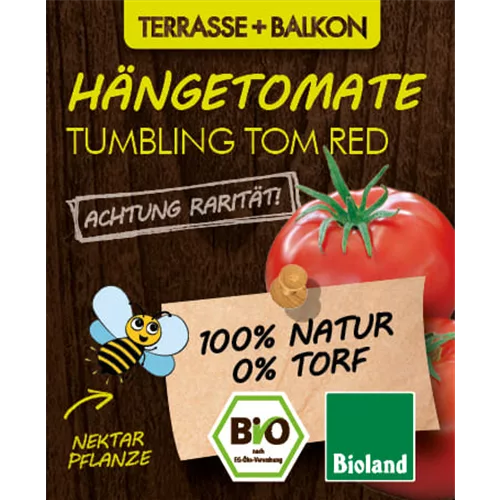 Bio Hängetomate 'Tumbling Tom Red'