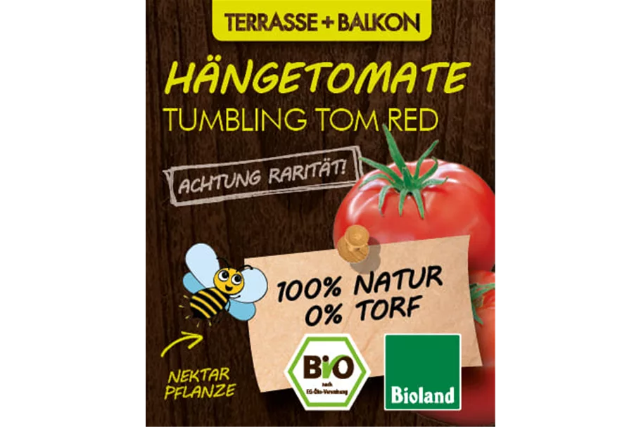 Bio Hängetomate 'Tumbling Tom Red' 12 cm Topf