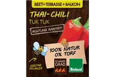 Bio Chili 'Tuk Tuk' 12 cm Topf