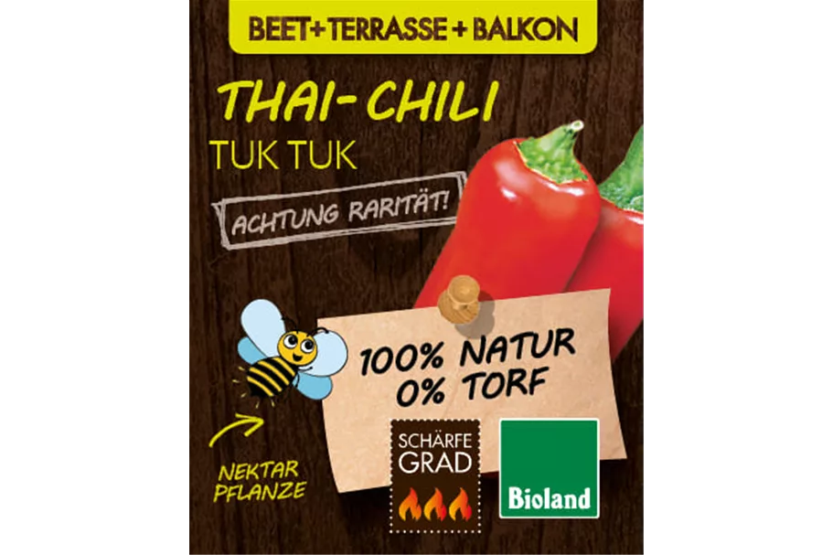 Bio Chili 'Tuk Tuk' 12 cm Topf