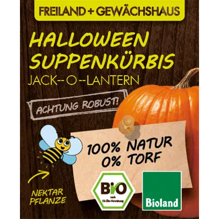 Bio Kürbis 'Jack-o-Lantern'