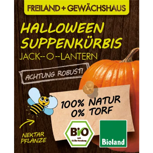 Bio Kürbis 'Jack-o-Lantern'