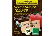 Bio Ochsenherztomate 12 cm Topf