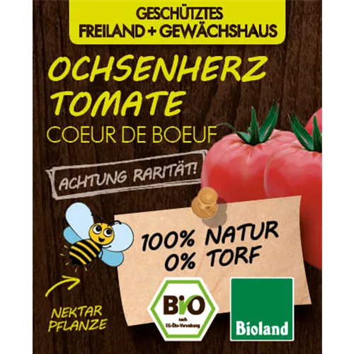 Bio Ochsenherztomate