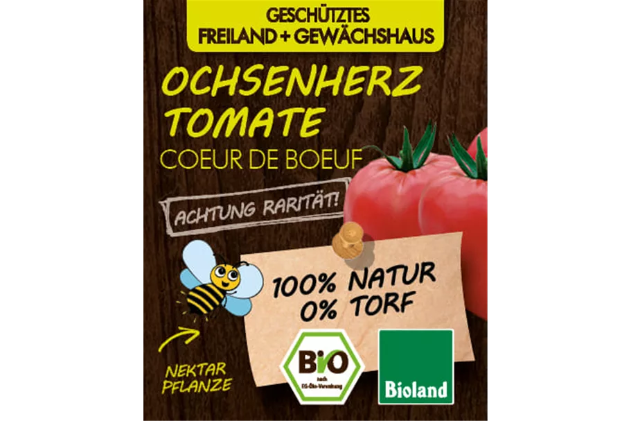 Bio Ochsenherztomate 12 cm Topf