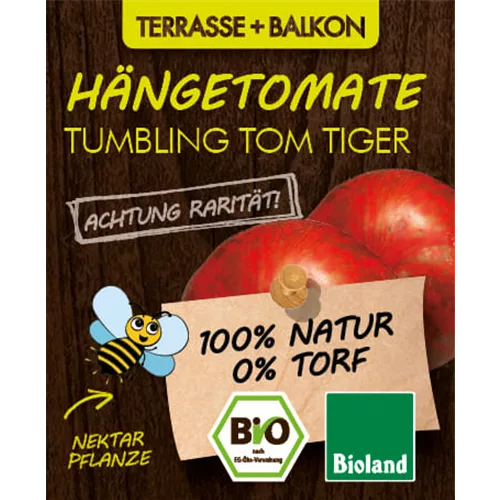 Bio Hängetomate Tumbling Tom Tiger