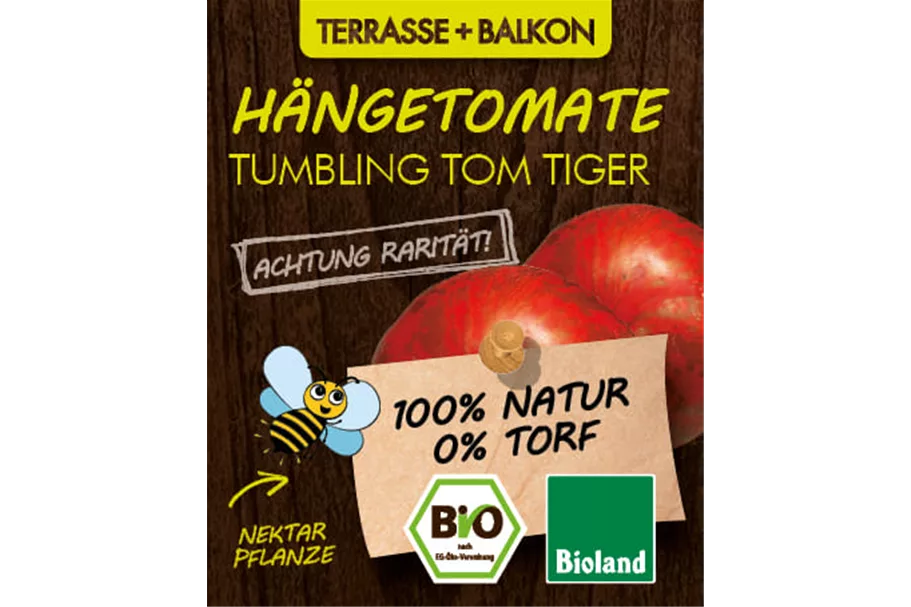 Bio Hängetomate Tumbling Tom Tiger 12 cm Topf