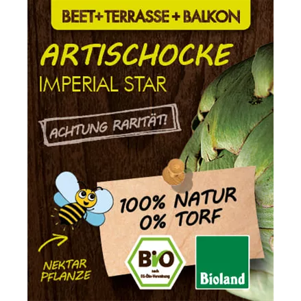 Bio Artischocke 'Imperial'