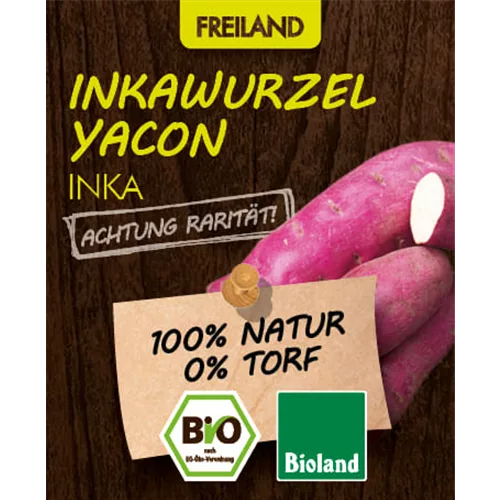 Bio Inkawurzel Yacon 'Inka'