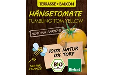 Bio Hängetomate Tumbling Tom Yellow 12 cm Topf