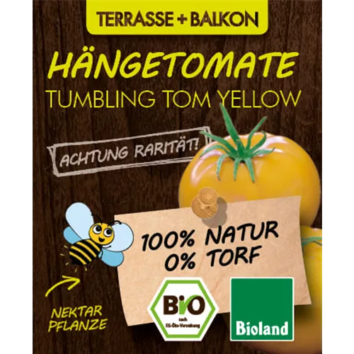 Bio Hängetomate Tumbling Tom Yellow