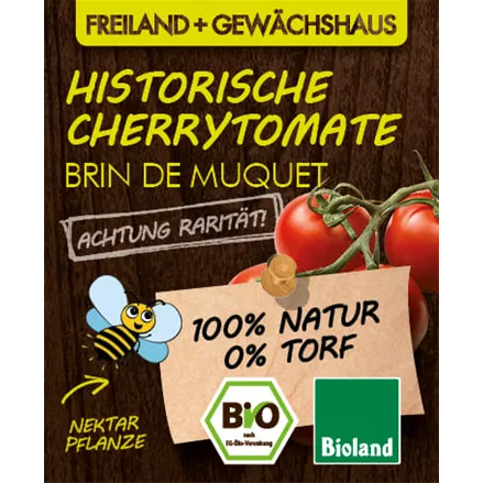 Bio Tomate 'Brin de Muguet'