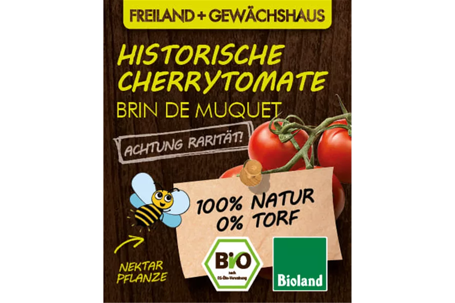 Bio Tomate 'Brin de Muguet' 12 cm Topf