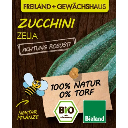 Bio Zucchini 'Zelia'