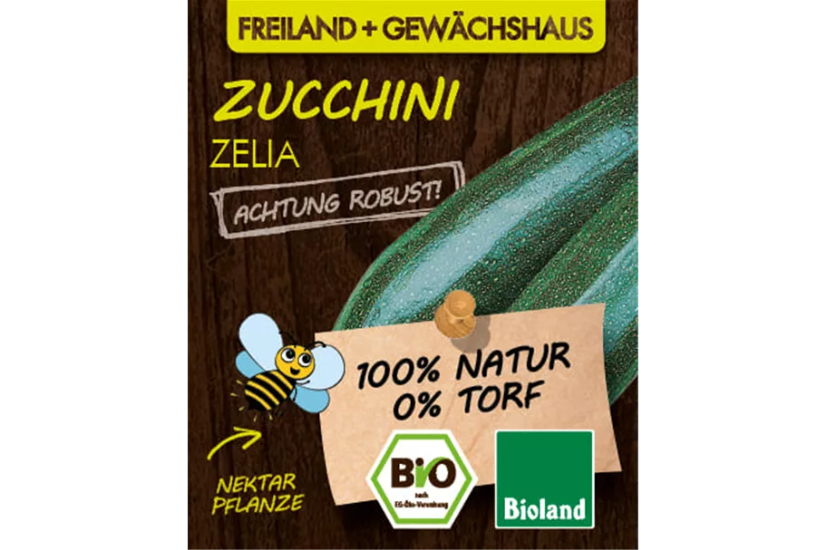 Bio Zucchini 'Zelia' 12 cm Topf