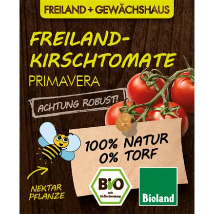 Bio Tomate 'Primavera'