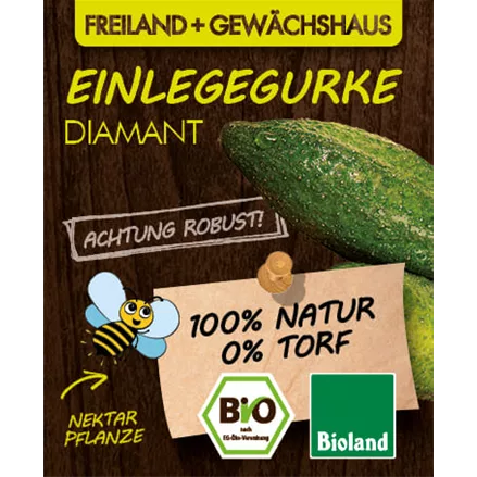 Bio Einlegegurke 'Diamant'