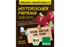 Bio Historischer Paprika 'Liebesapfel' 12 cm Topf