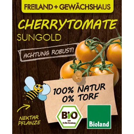 Bio Cherrytomate 'Sungold'