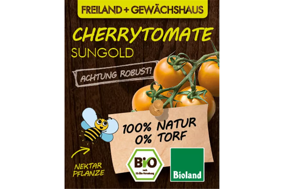 Bio Cherrytomate 'Sungold' 12 cm Topf