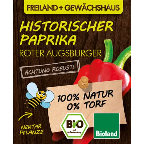 Bio Historischer Paprika 'Roter Augsburger'