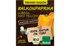 Bio Balkonpaprika gelb 12 cm Topf