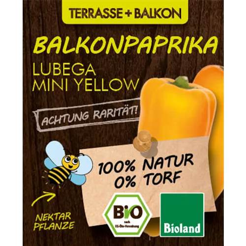 Bio Balkonpaprika gelb