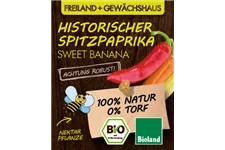 Bio Historischer Spitzpaprika 'Sweet Banana' 12 cm Topf