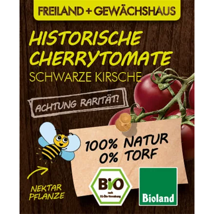 Bio Tomate 'Schwarze Kirsche'