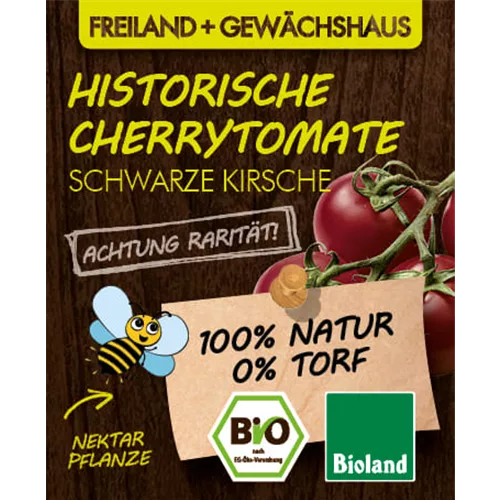 Bio Tomate 'Schwarze Kirsche'