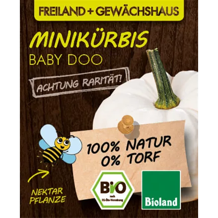 Bio Mini-Kürbis 'Baby Doo'